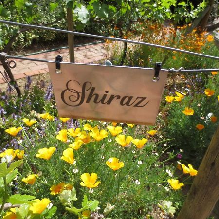 Haus Perlenblick Bed and Breakfast Paarl Εξωτερικό φωτογραφία