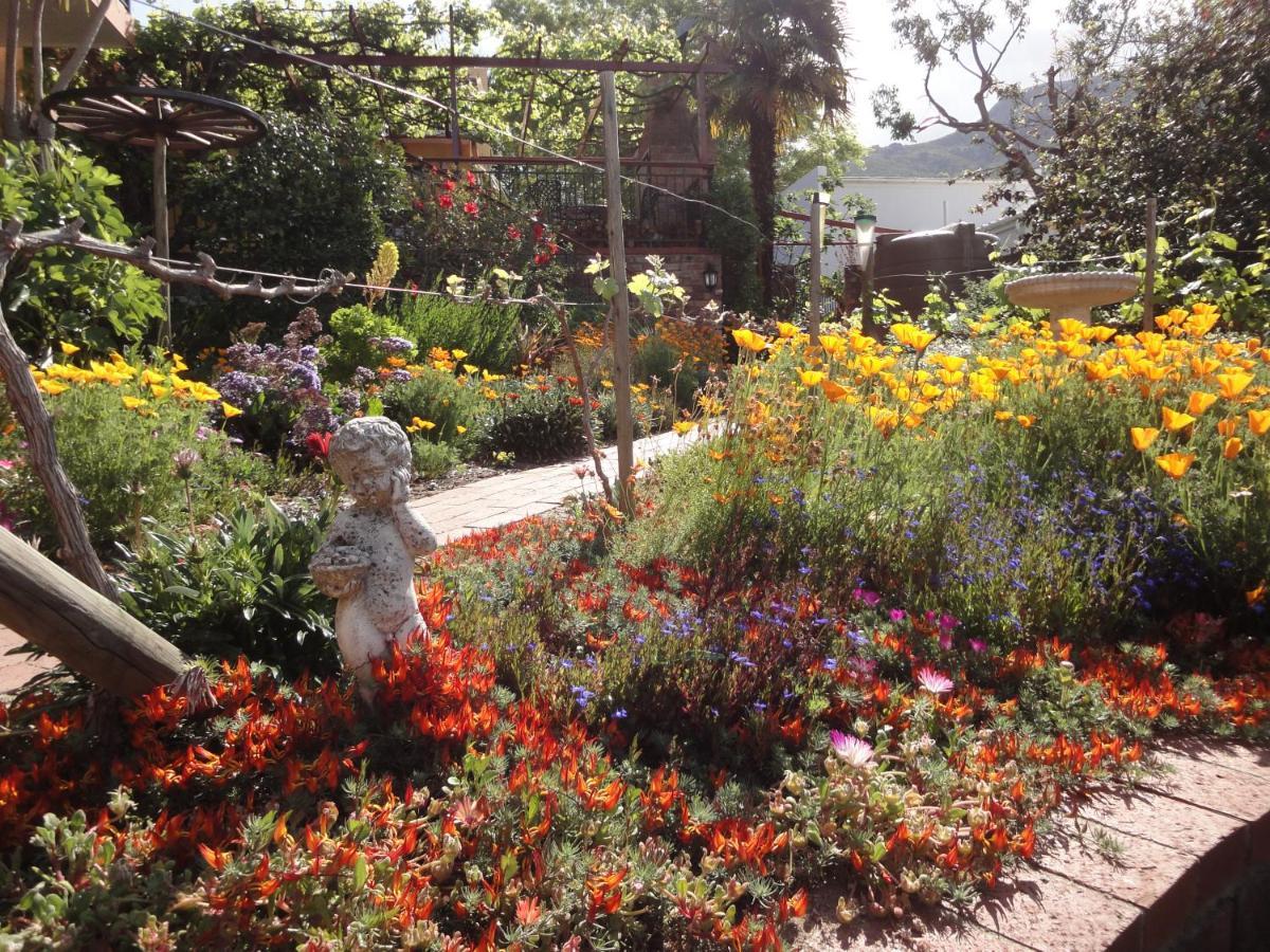 Haus Perlenblick Bed and Breakfast Paarl Εξωτερικό φωτογραφία