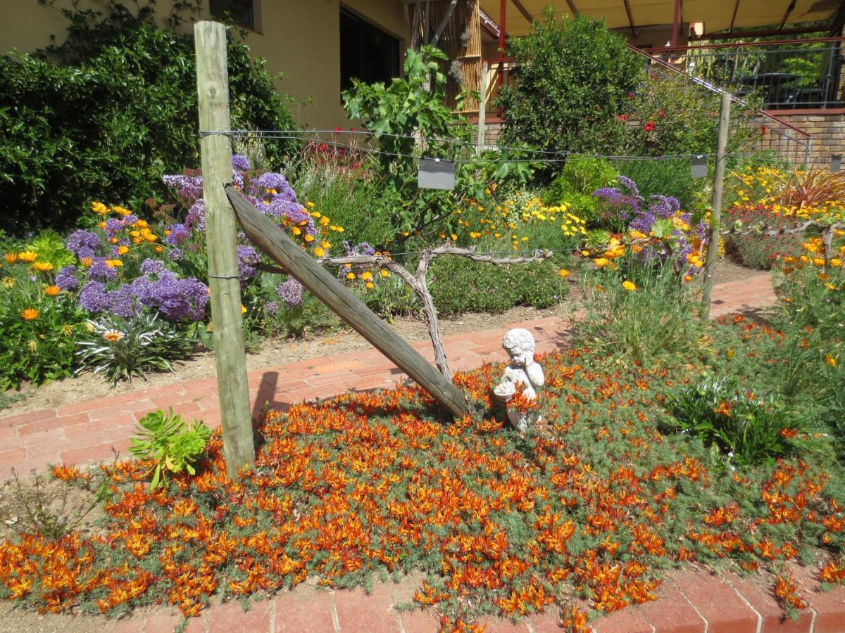Haus Perlenblick Bed and Breakfast Paarl Εξωτερικό φωτογραφία